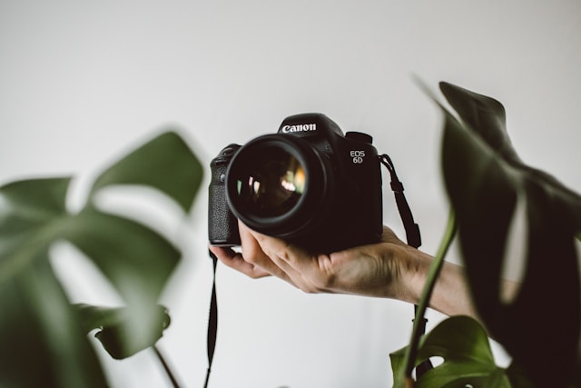 10 Best Photography Courses Online On Udemy And Coursera
